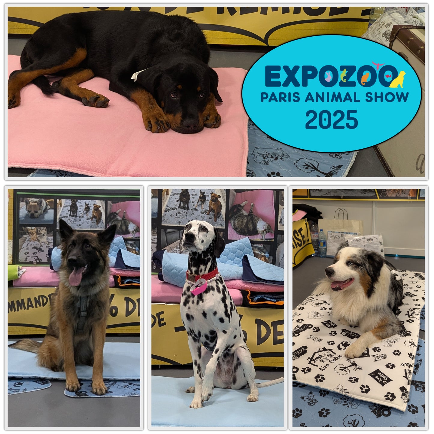 Reversible Fleece Mat for Dogs and Cats - A Soft and Absorbent Fleece Side and a Smooth and Cool Polyester Side - Available in various colors and sizes