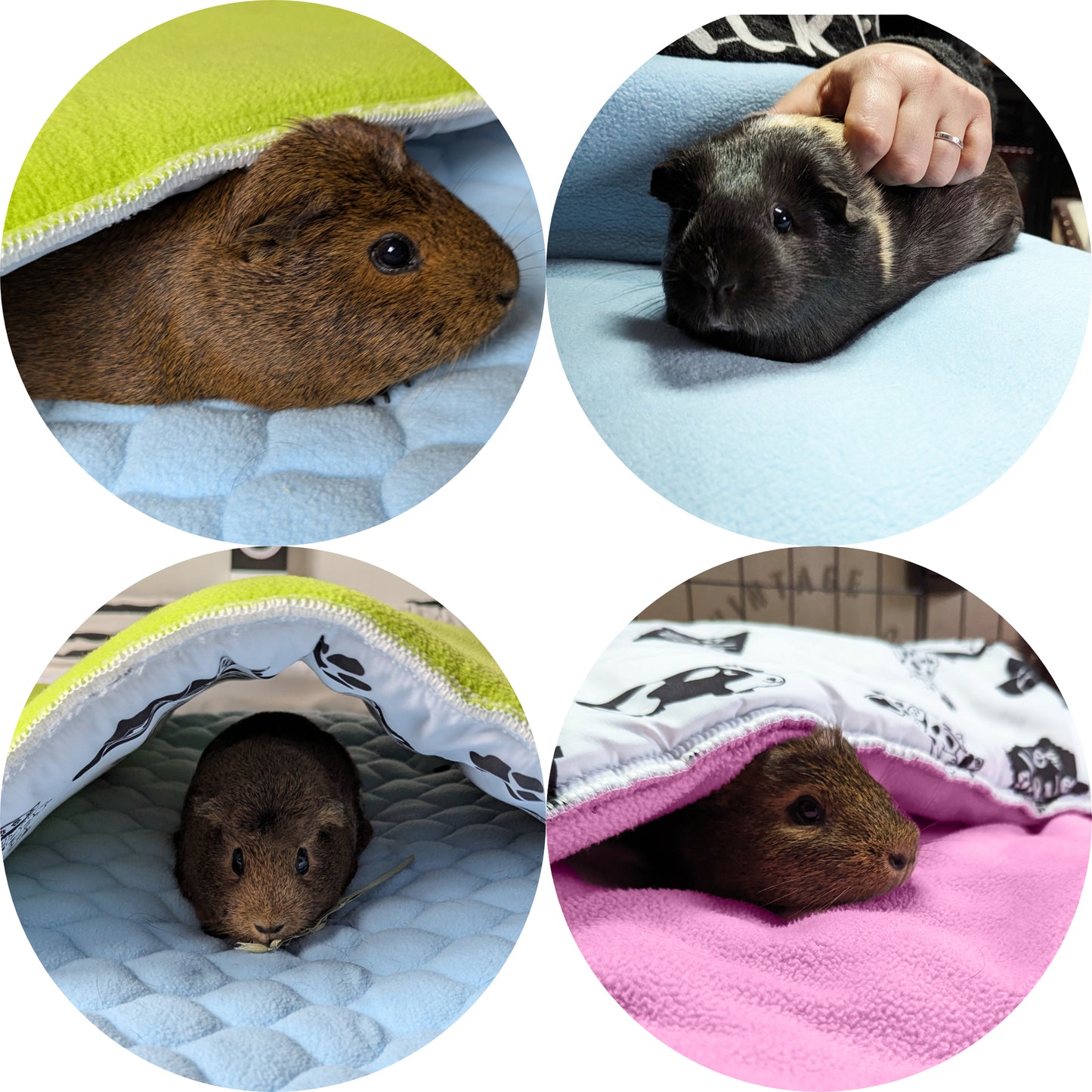 Fleece Playground for Guinea Pig and Bunny - All in One, it's a Blanket, a Giant Tunnel, a House, a Cushion and a Bed - Available in various colors and sizes